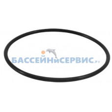 Прокладка-кольцо корпуса насосов SMP Mayer Schwimmbad
